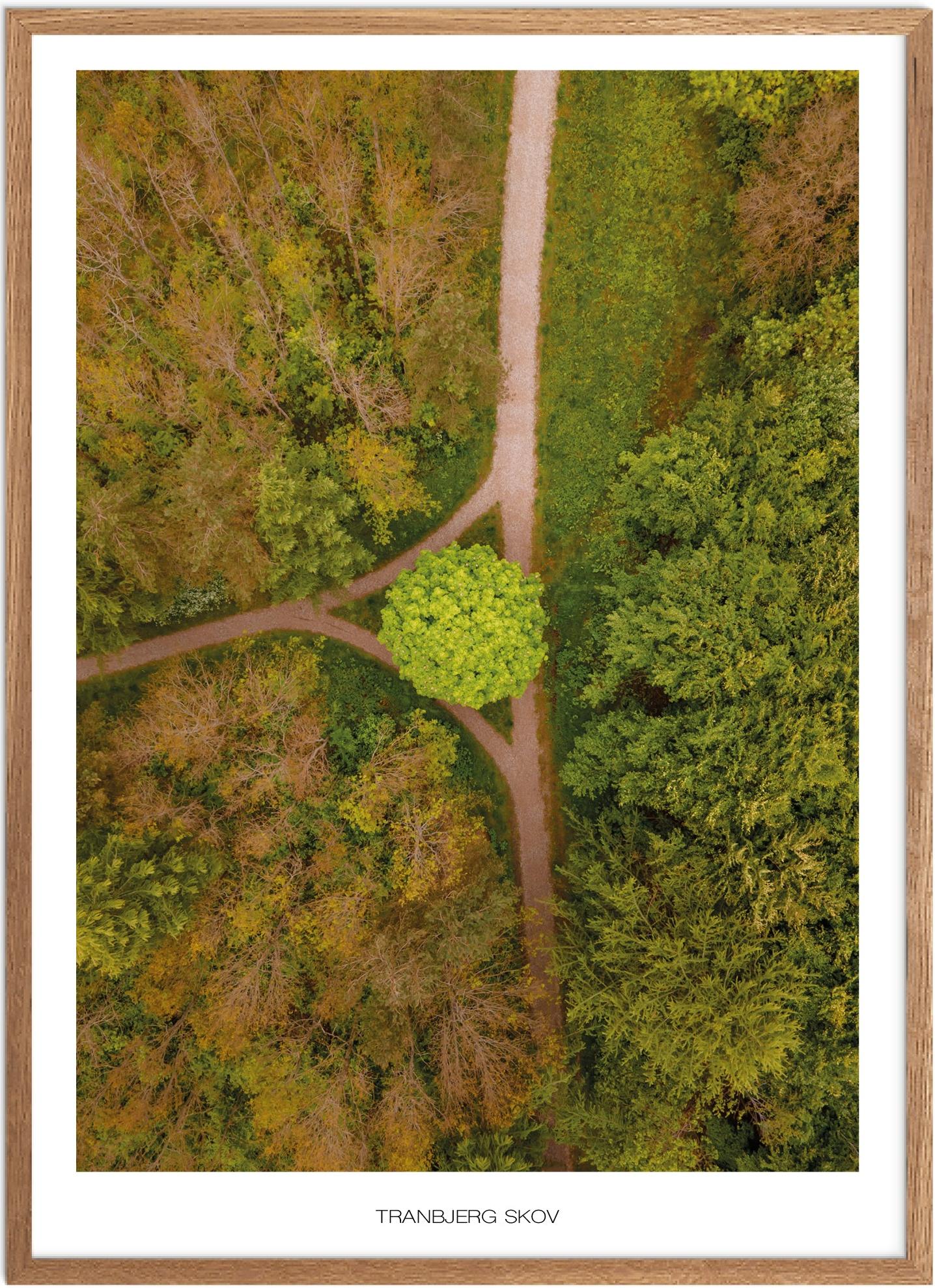 Tranbjerg Naturplakat | Plakater fra Østjylland