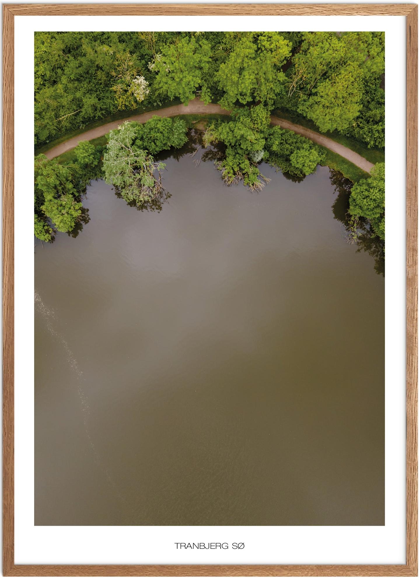 Plakat af Tranbjerg Sø | Naturbillede fra Østjylland