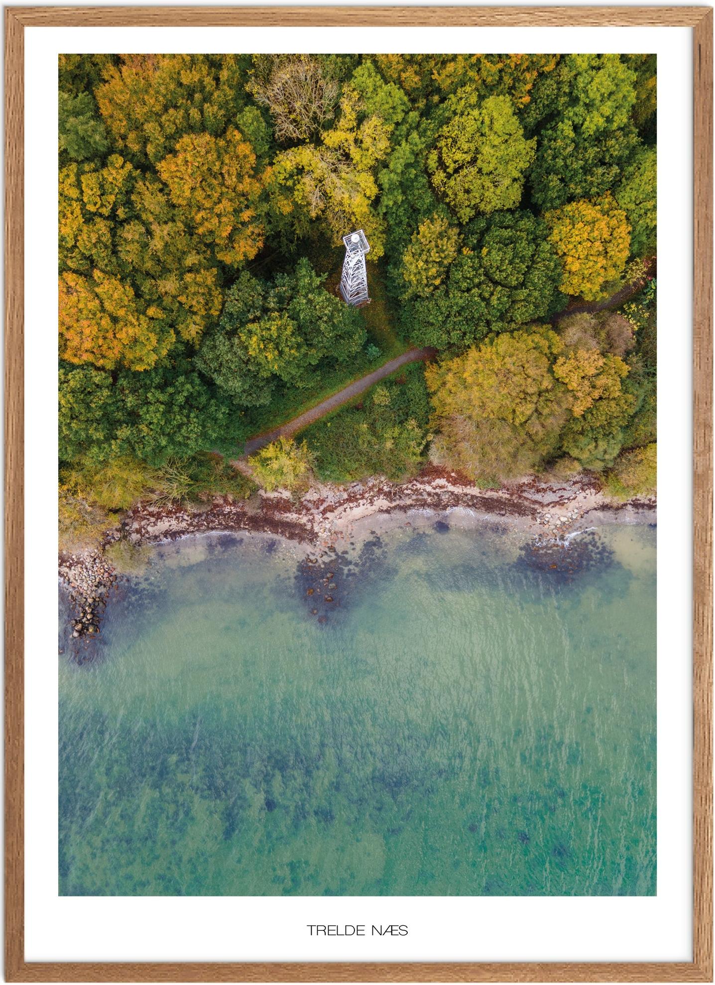 Plakat af Trelde Næs | Naturplakat fra Sydjylland