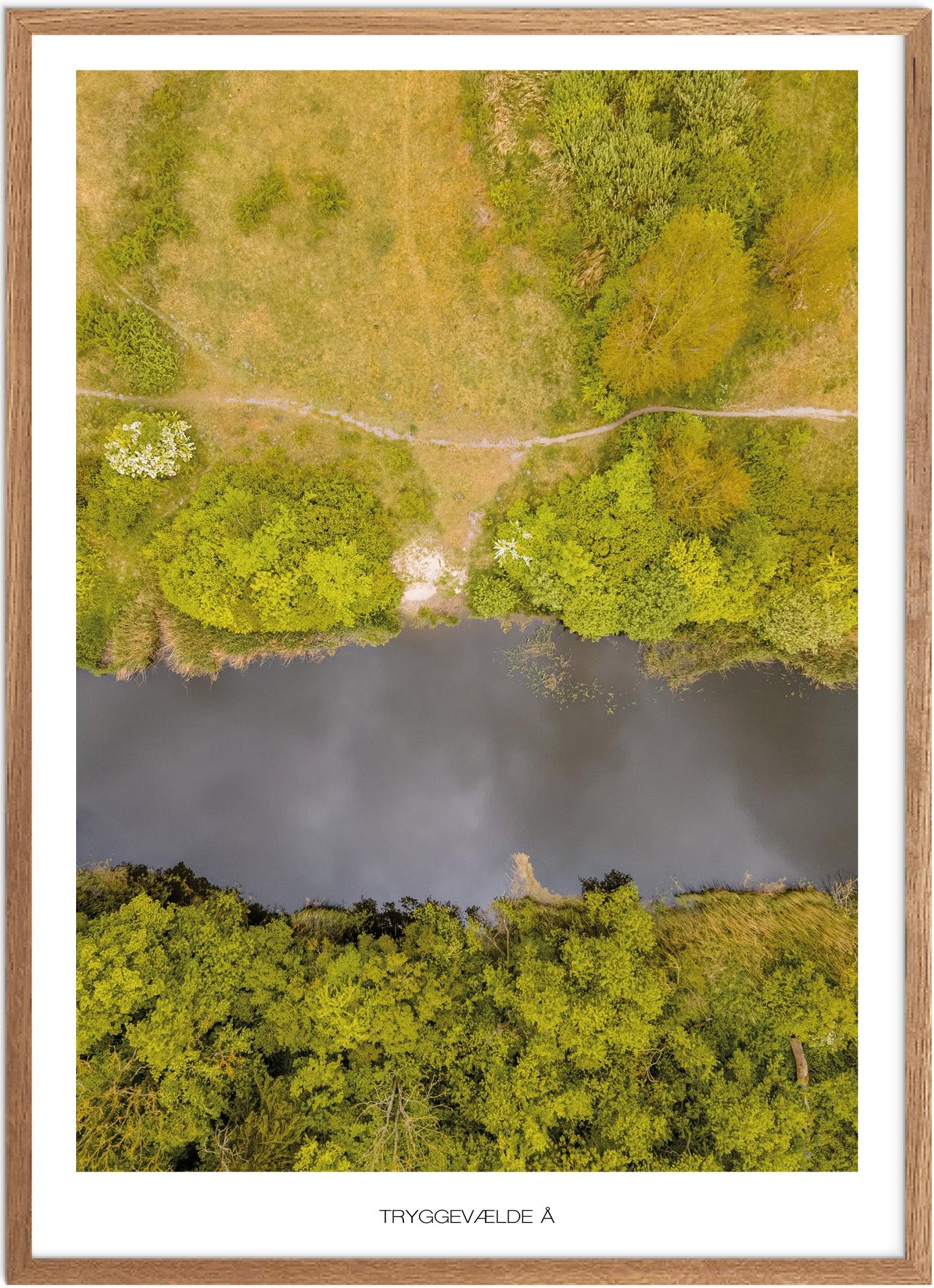 Plakat af Tryggevælde Å | Naturplakat til vægdekoration