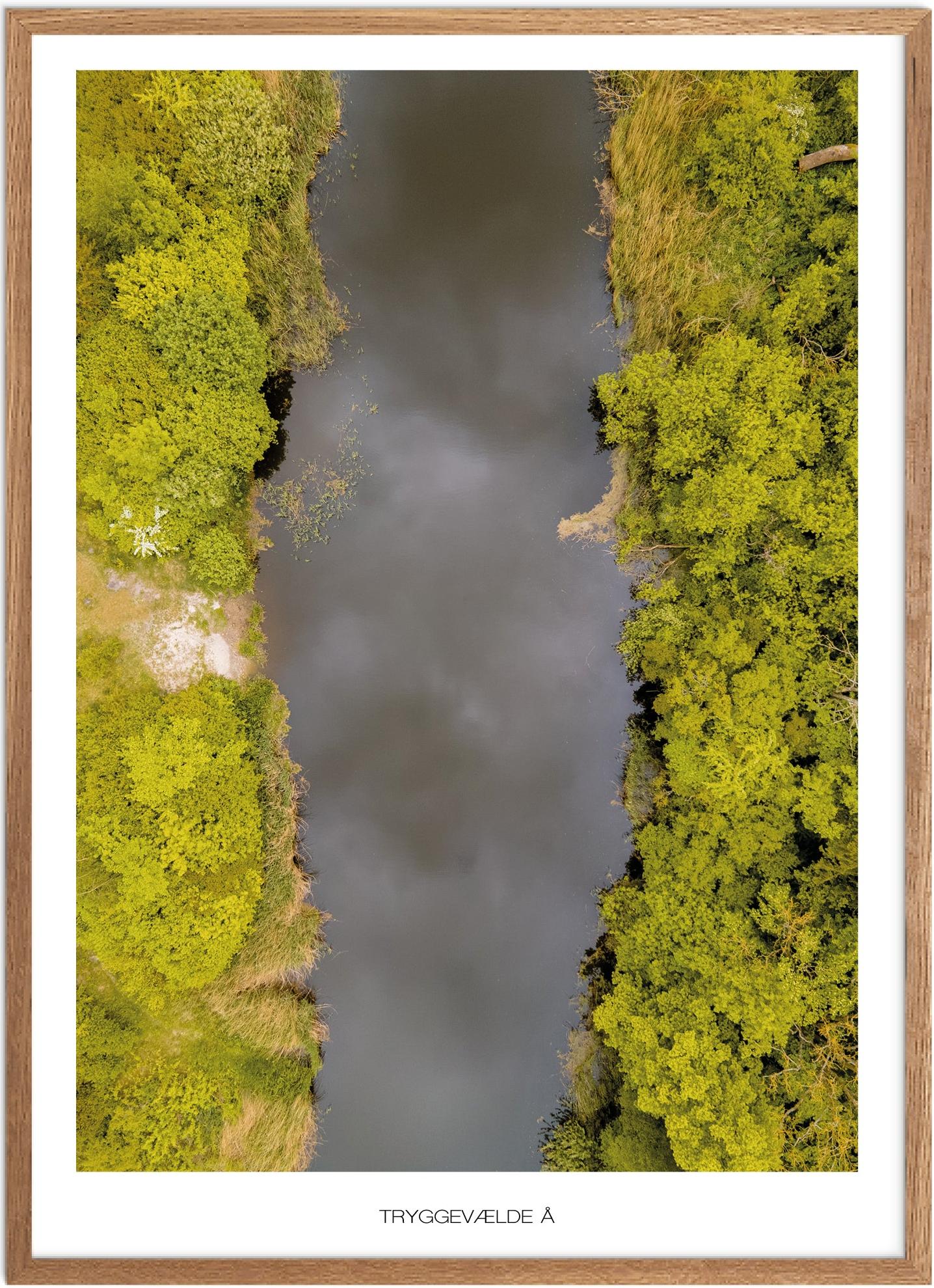 Plakat af Tryggevælde Å | Naturplakat til vægdekoration