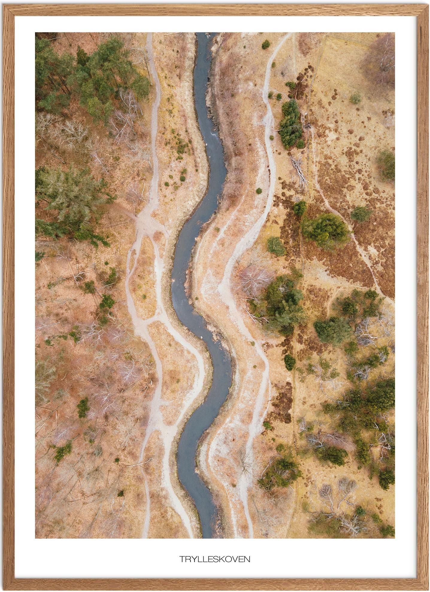 Trylleskoven Plakat - Smuk Naturplakat fra Plakatsnedkeren