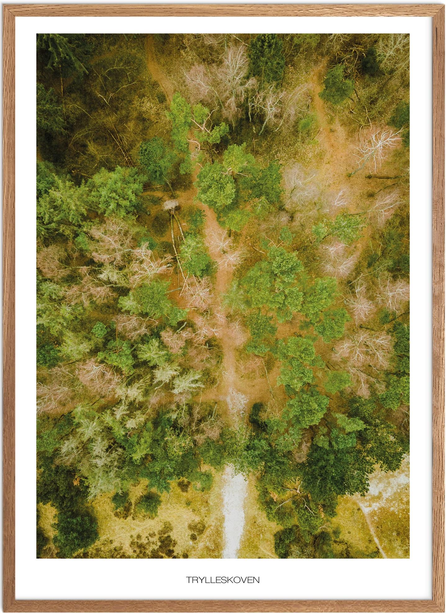 Trylleskoven Plakat - Smuk Naturplakat fra København