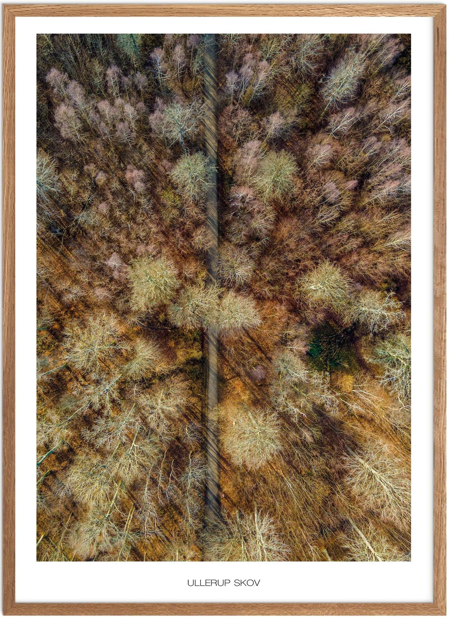 Plakat af Ullerup Skov | Naturplakat fra Nordsjælland