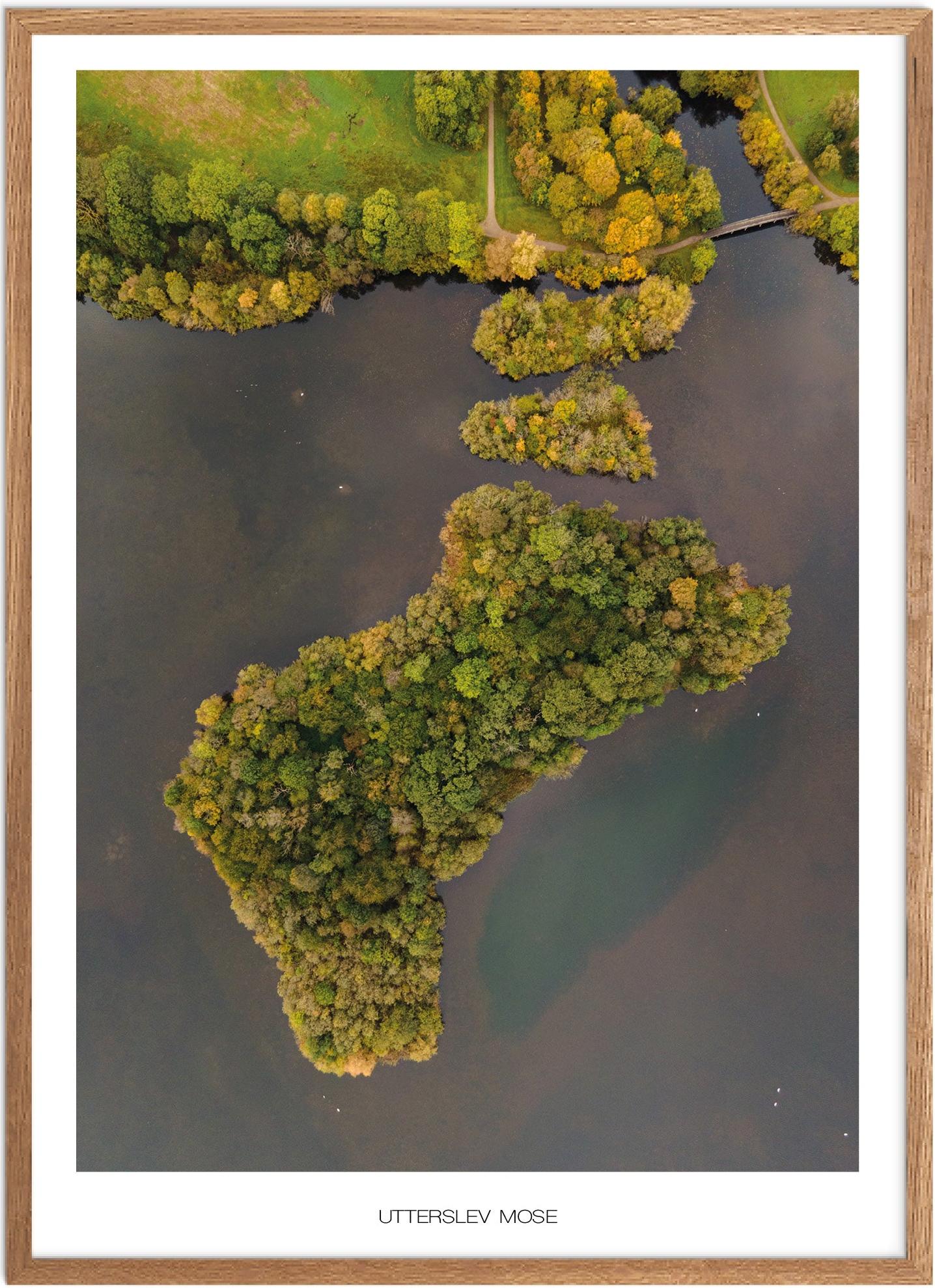 Plakat af Utterslev Mose | Naturplakat fra København