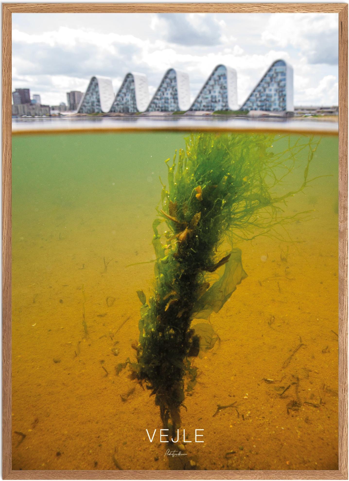 Plakat Vejle - Smuk naturplakat fra Plakatsnedkeren