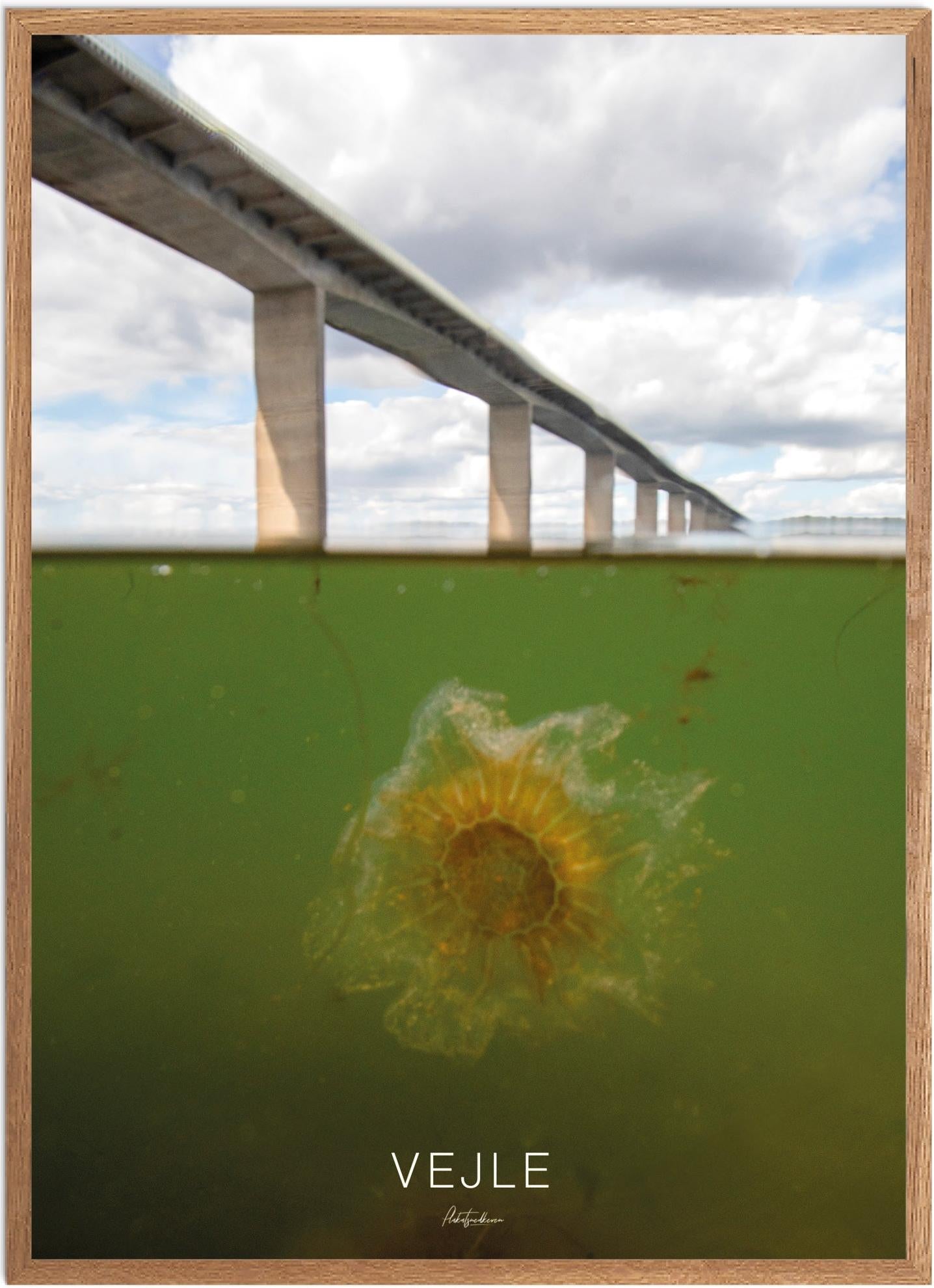 Plakat af Vejle med Naturmotiv - Smuk udsigt til byen