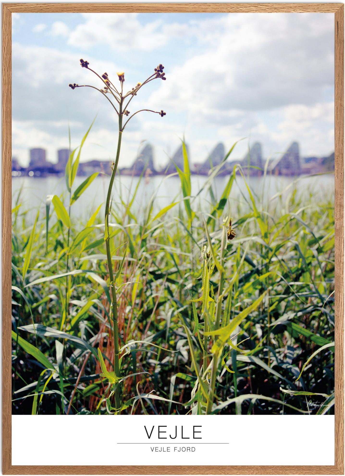Vejle Fjord Plakat | Smuk Naturplakat til Dit Hjem