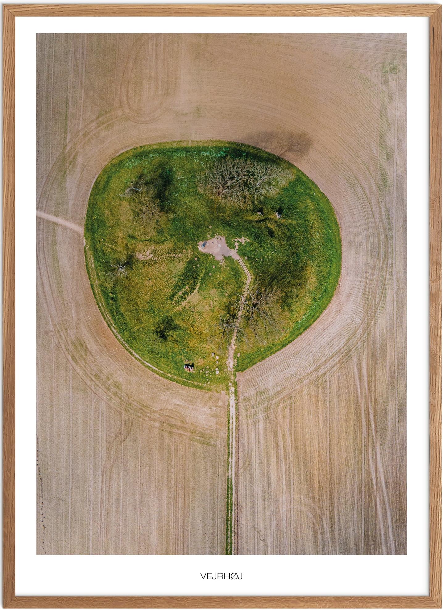 Plakat af Vejrhøj | Naturplakat fra Vestsjælland