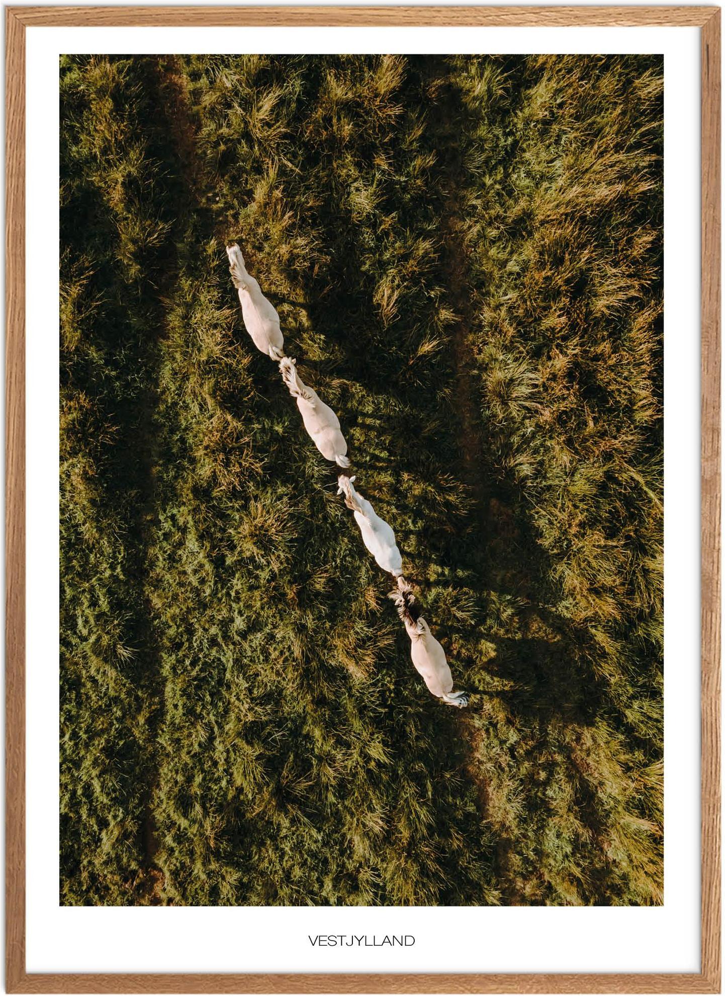 Plakat af Vestjylland - Smuk naturplakat til hjemmet