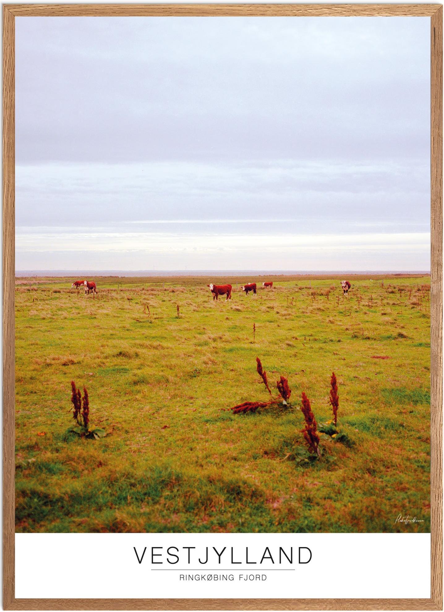 Plakat af Ringkøbing Fjord | Naturplakat til hjemmet