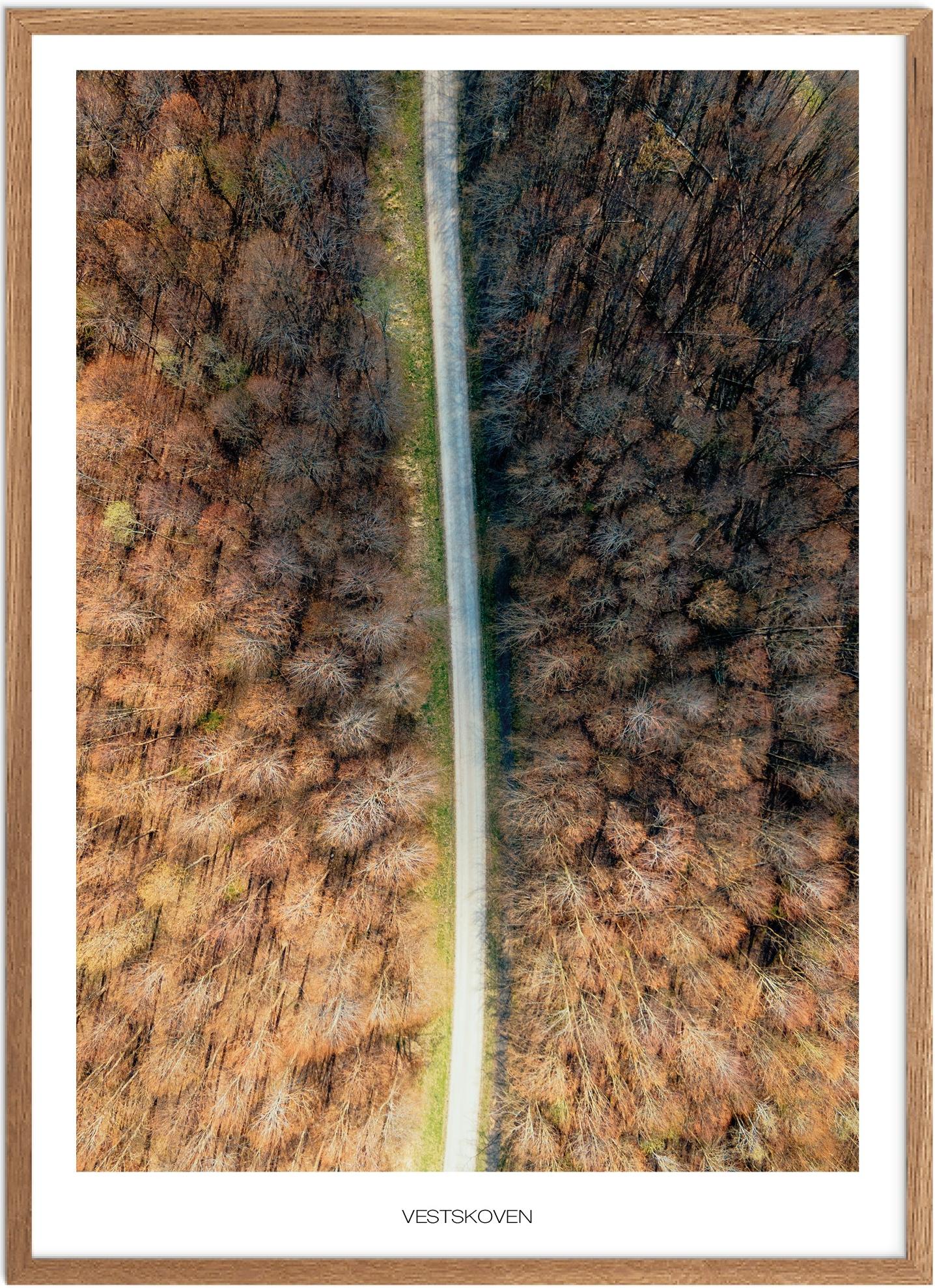 Plakat af Vestskoven | Naturplakat fra Plakatsnedkeren