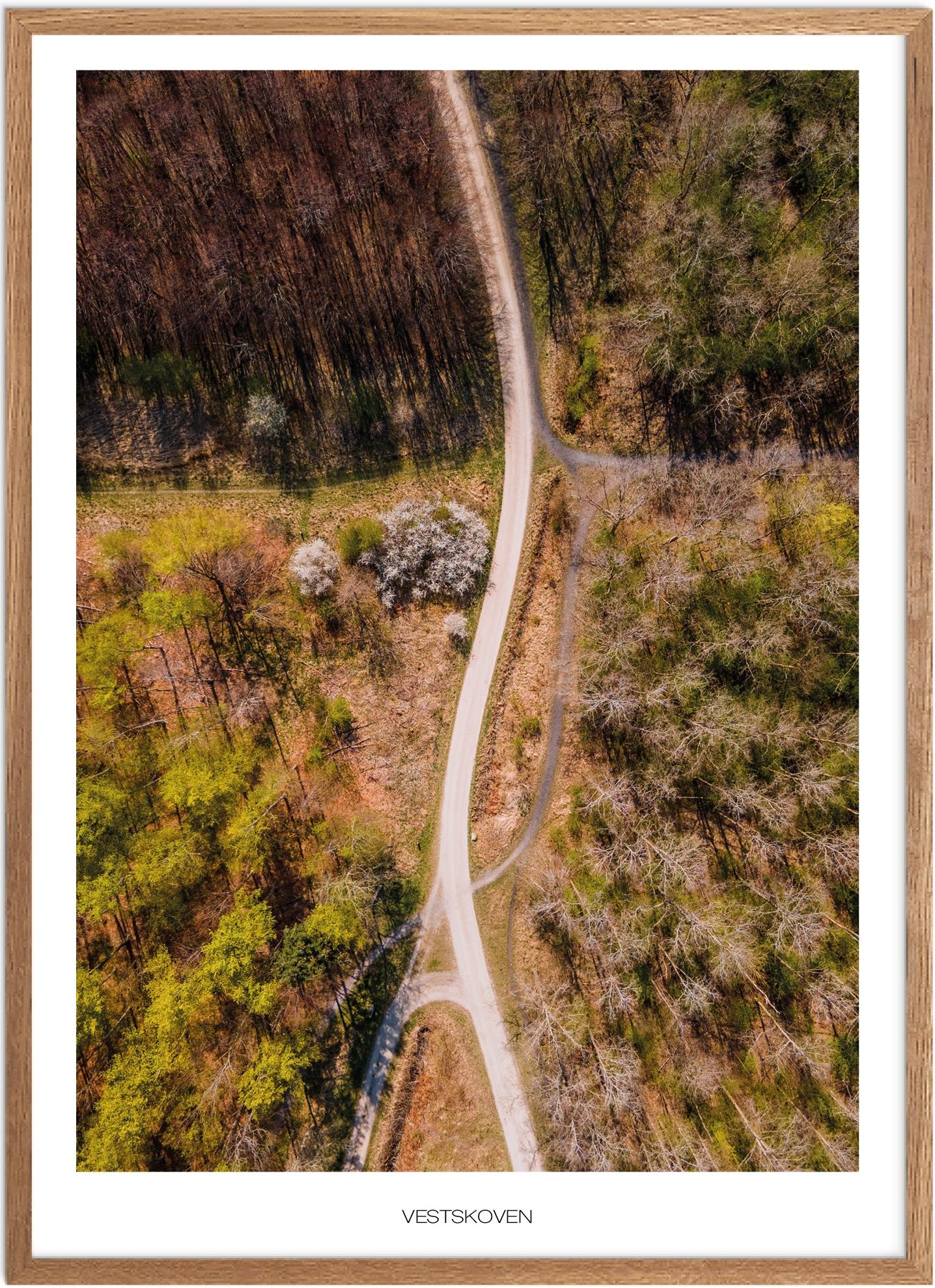 Vestskoven Naturplakat | Plakat fra Plakatsnedkeren