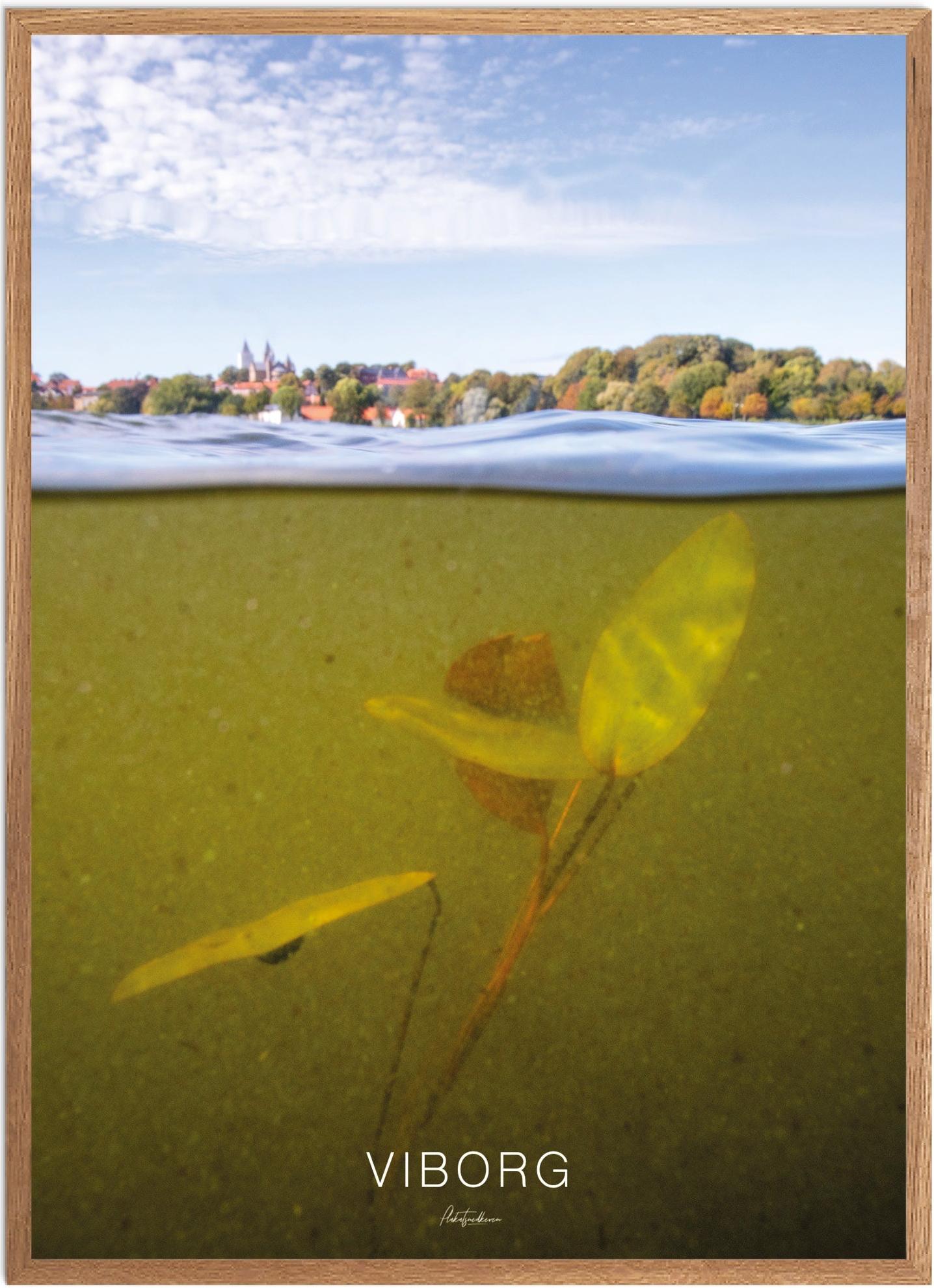 Plakat over Viborgs naturskønheder - Plakatsnedkeren