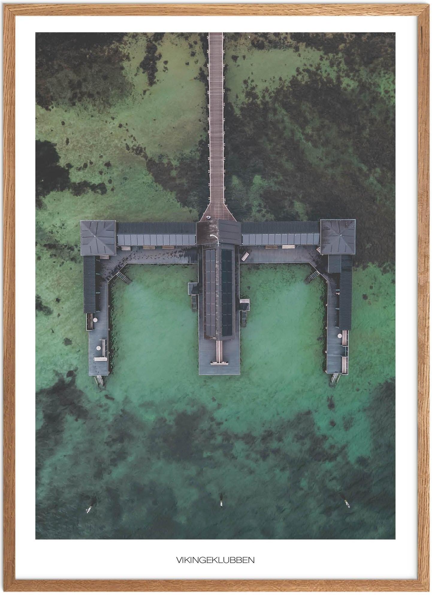 Vikingeklubben Naturplakat | Plakater fra Sydjylland