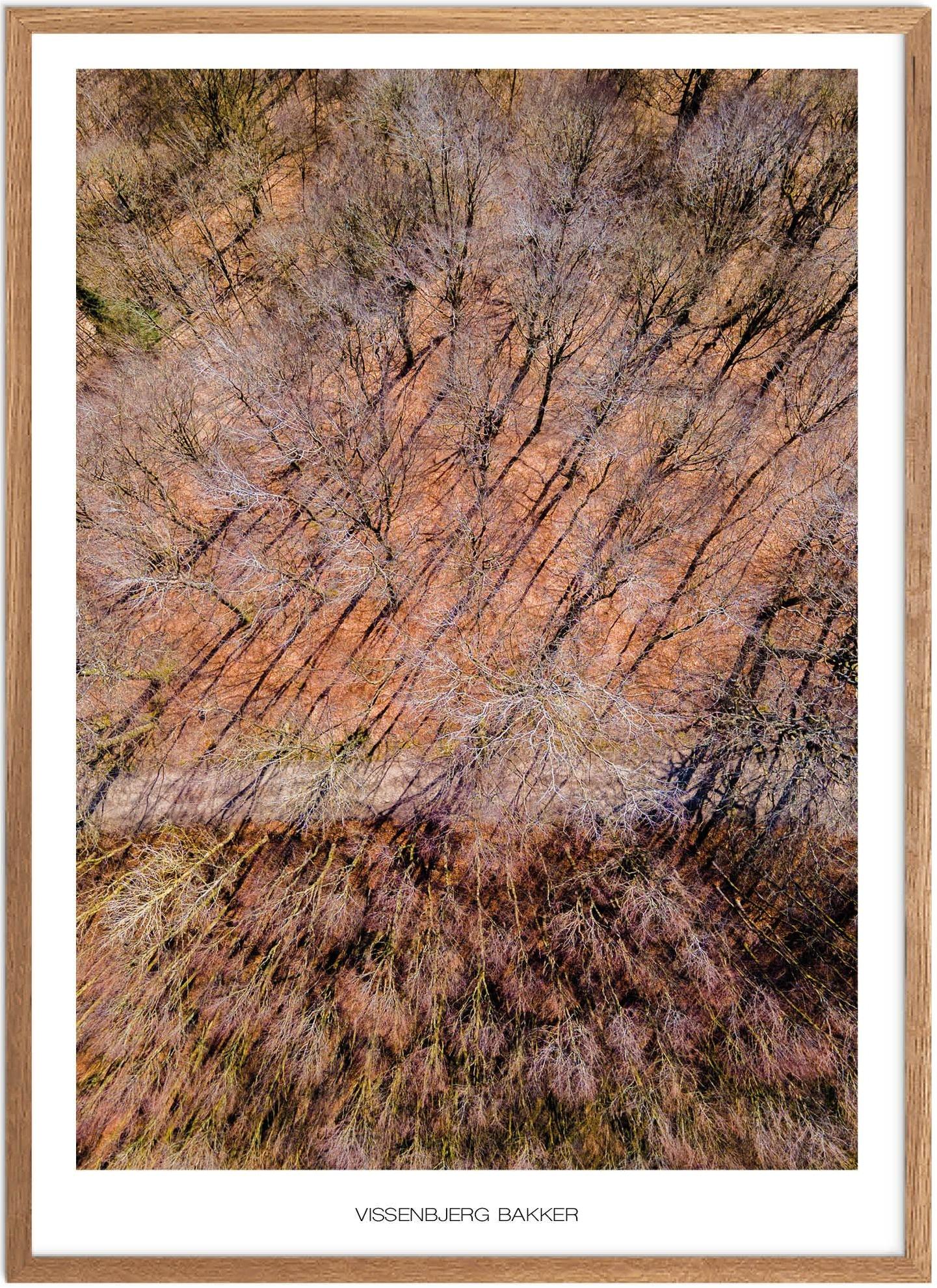 Vissenbjerg Bakker Plakat | Smuk Naturplakat fra Fyn