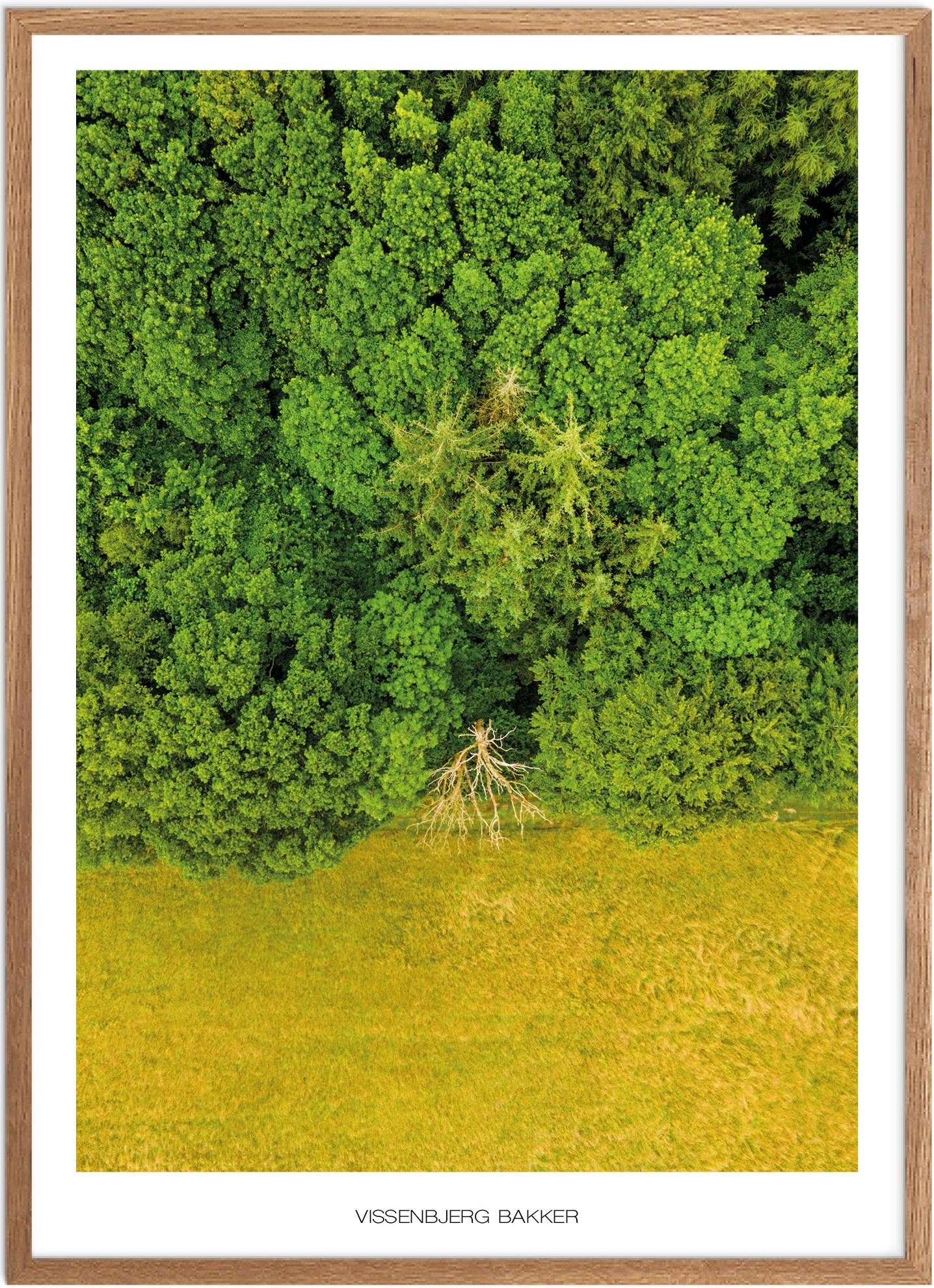 Vissenbjerg Bakker Plakat | Naturplakat fra Fyn