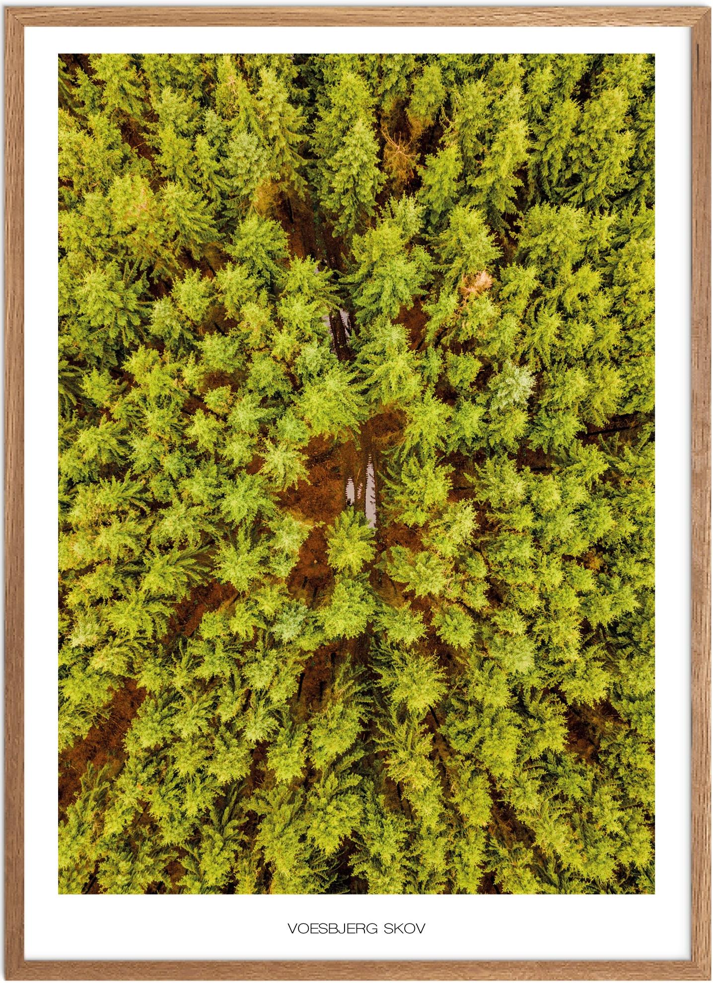 Voesbjerg Skov Plakat | Naturplakat fra Fyn | Plakatsnedkeren