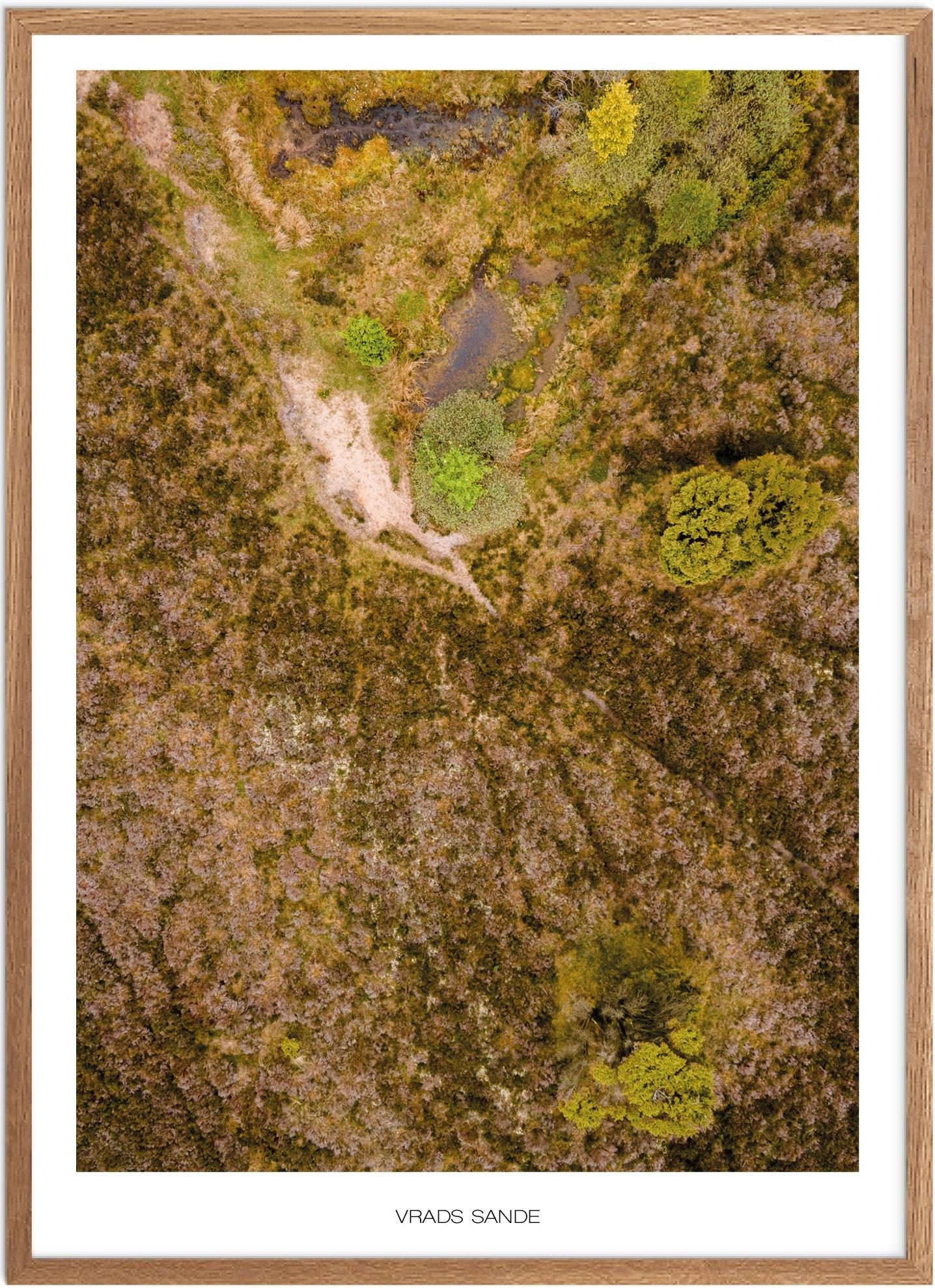 Plakat af Vrads Sande | Naturplakat fra Østjylland