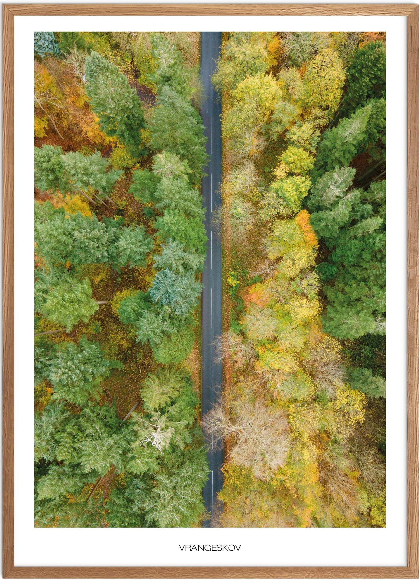 Plakat af Vrangeskov | Naturmotiv fra Plakatsnedkeren