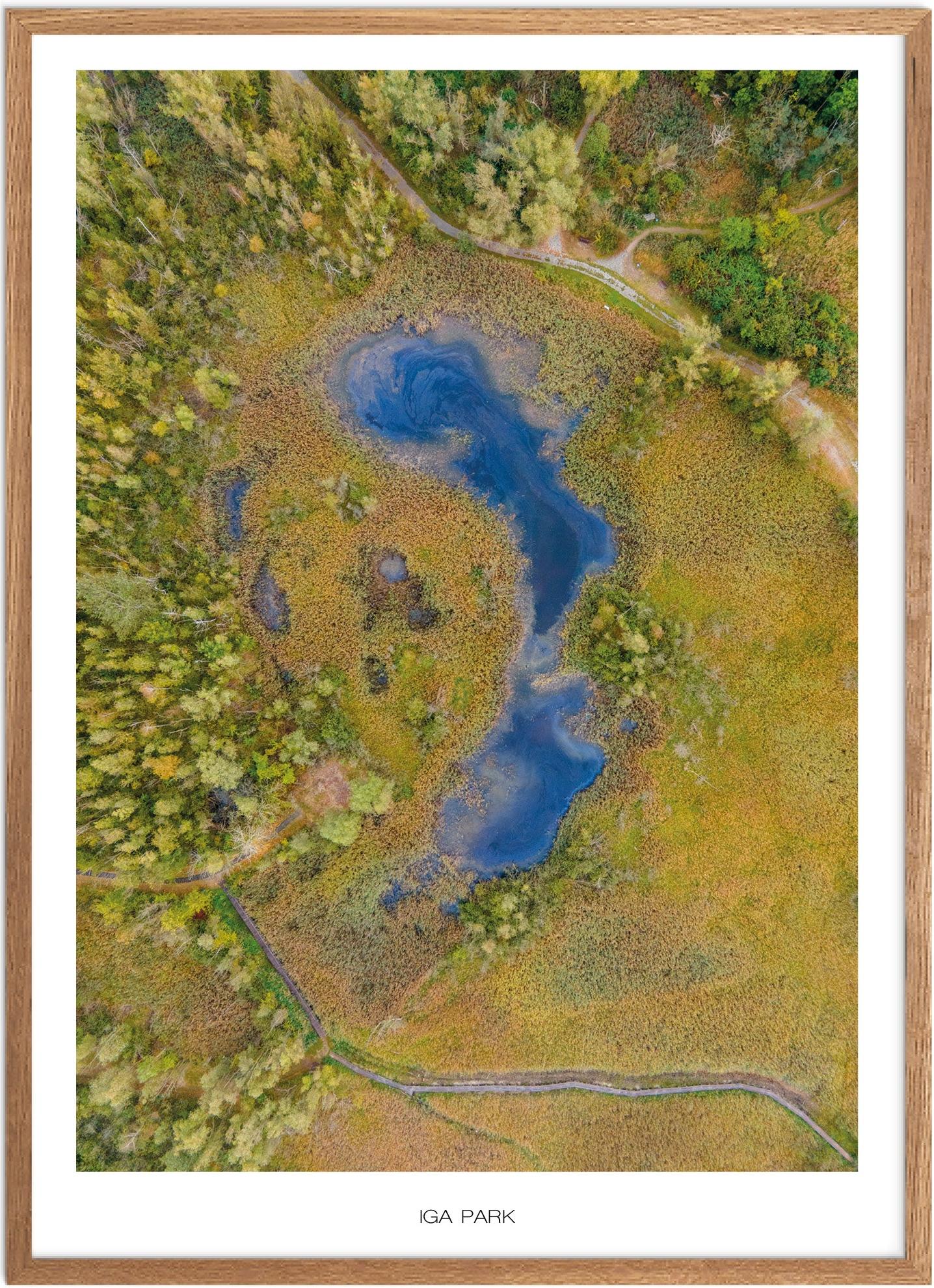 Poster IGA Park  | Naturplakat | Recommended products (Seguno) | Plakat | Plakatsnedkeren | Mecklenburg-Vorpommern
