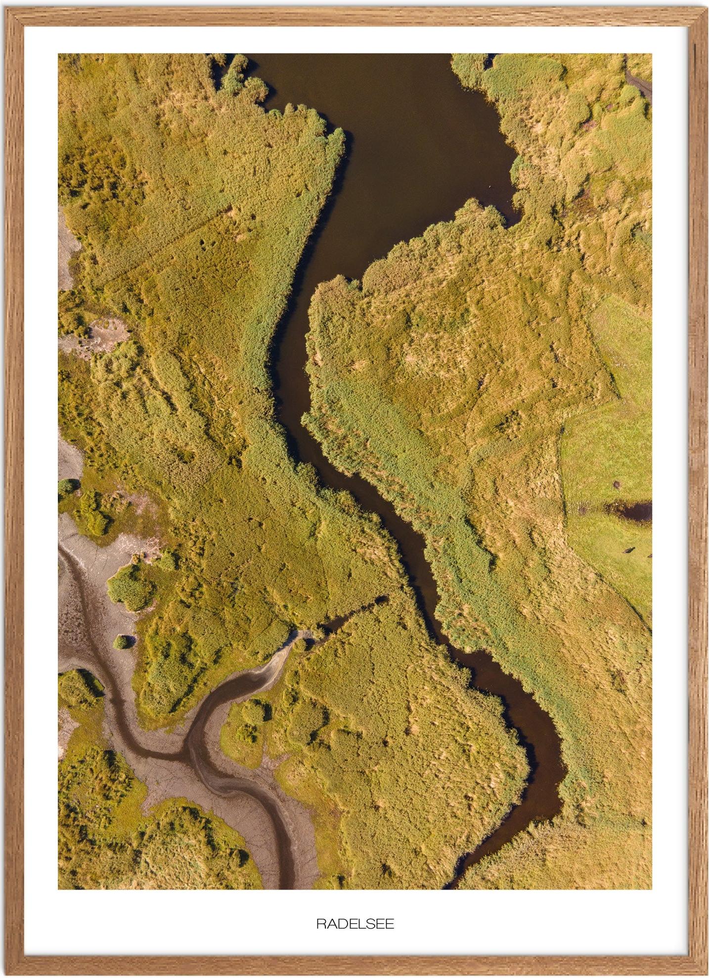 Poster Radelsee | Naturplakat | Recommended products (Seguno) | Plakat | Plakatsnedkeren | Mecklenburg-Vorpommern