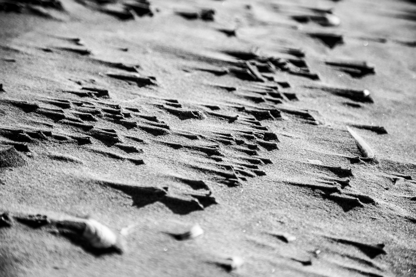 Sand Sails af Andreas Mørck
